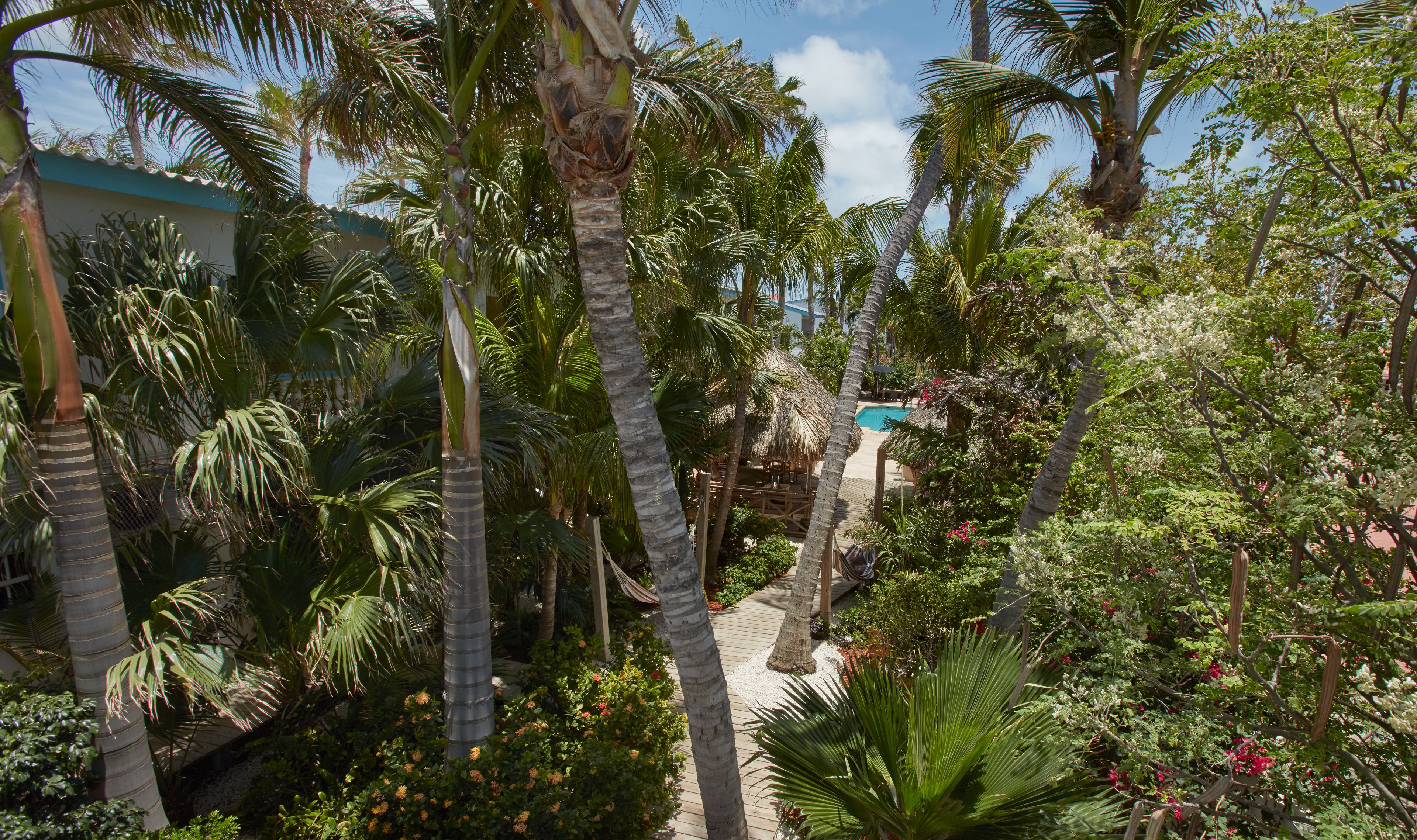 Photo - Paradera Park Aruba