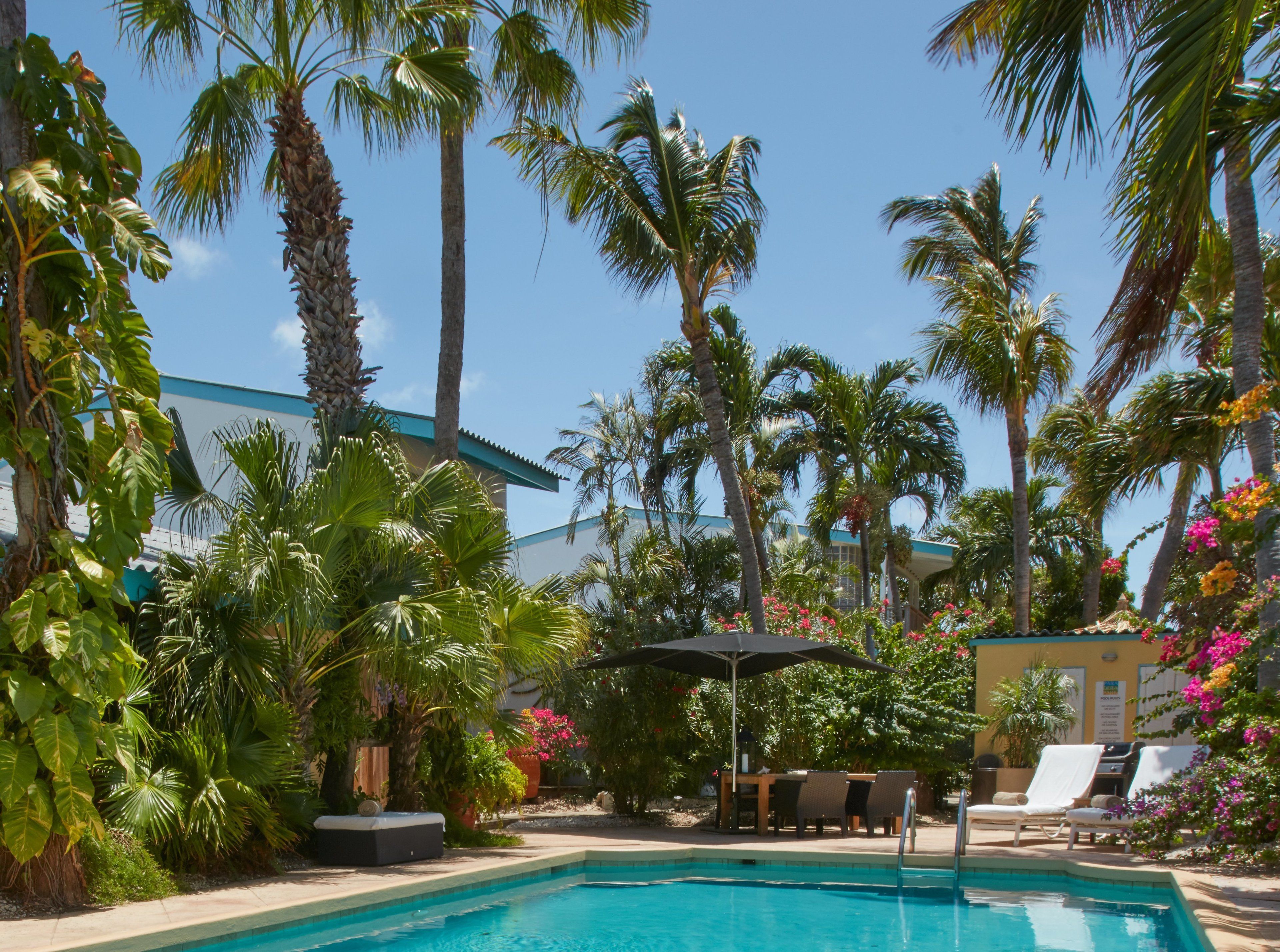 Außenpool, Liegestühle