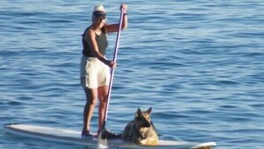Une personne debout sur une planche de paddle, sur l’eau, avec un chien.
