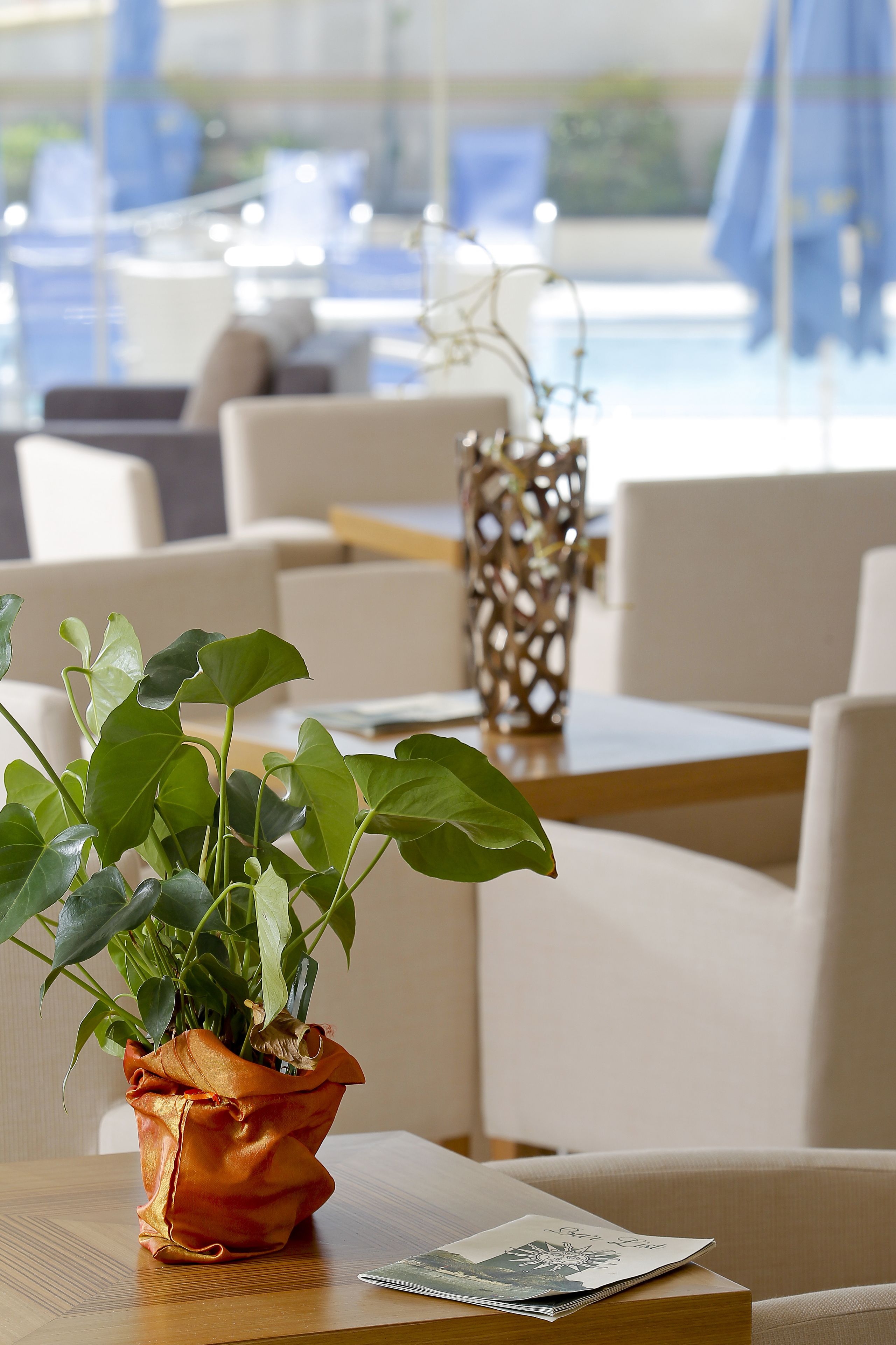 A plant in a decorative pot on a table in a modern, well-lit room with comfortable seating and a view of the outdoors.