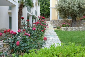 Jardín