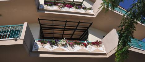 Vista frontal de la propiedad