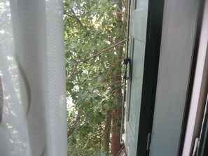 Apartment, 1 Bedroom | View from room