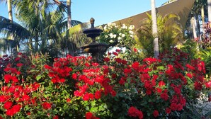 A garden with red flowers and a fountain. - McLaren Vale Motel & Apartments (McLaren Vale)