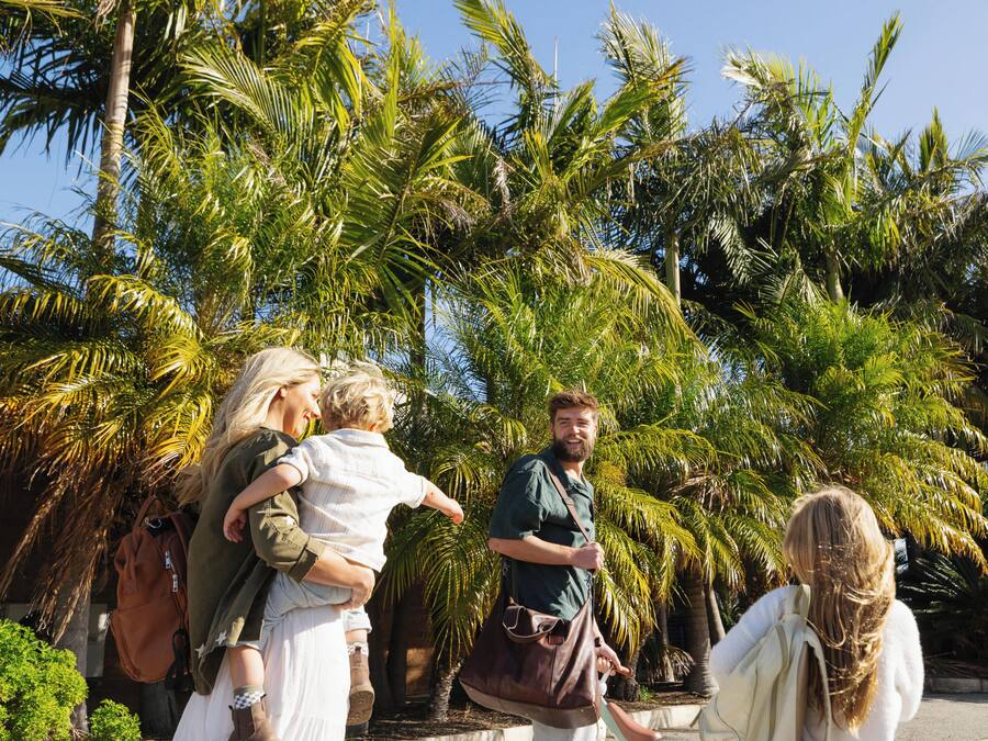 Un grupo de personas en un entorno tropical con palmeras.