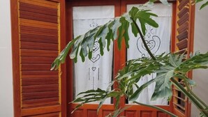 A wooden door with a white curtain, a potted plant with large leaves, and a tiled floor.