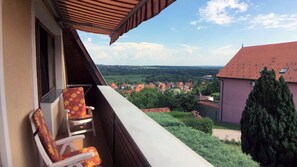 Apartment with Balcony | Terrazza/patio