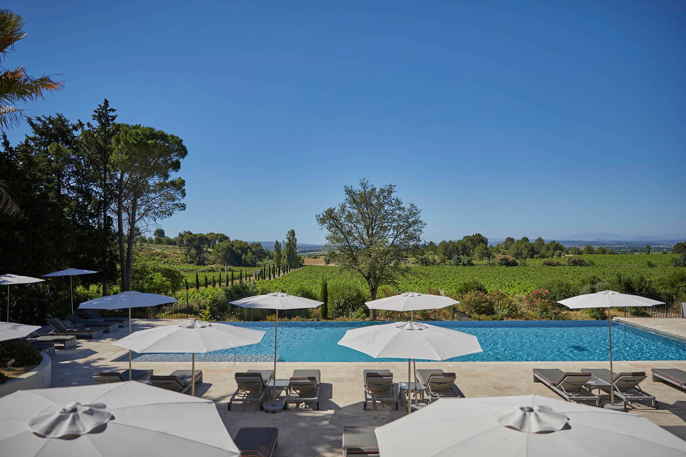 Zona piscina con lettini e ombrelloni, immersa nel verde e con vista sui vigneti.