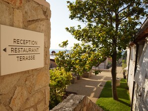 Free daily buffet breakfast  - Hotel Vista (Vrsar)