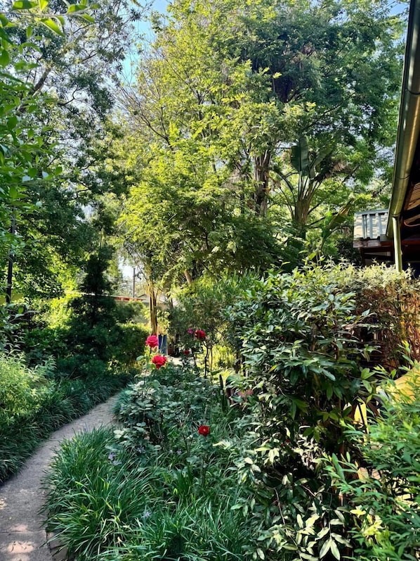 Exterior - The Rabbit Hole Hotel (Krugersdorp)