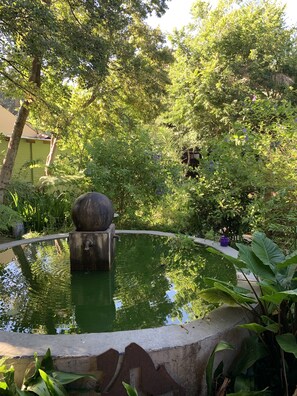 Ein friedlicher Garten mit einem zentralen Wasserspiel, umgeben von üppigem Grün und Bäumen.