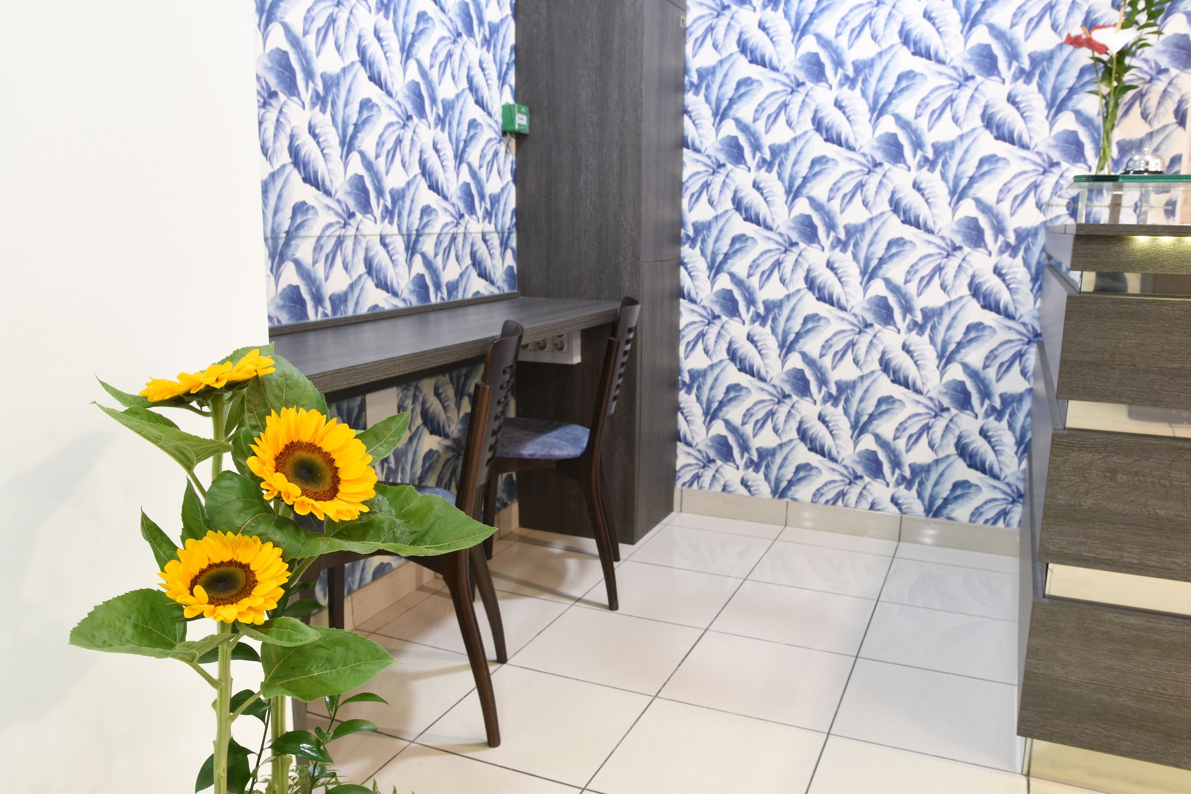 Une pièce comprenant un coin repas avec une table et des chaises, un mur orné d’un motif de feuilles bleues et blanches, et une plante en pot avec des tournesols.