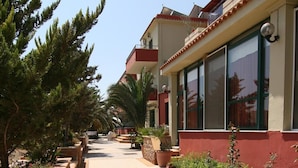 Un chemin bordé de plantes en pot et d’arbres, menant à un bâtiment doté de grandes fenêtres et d’une façade rouge et beige.