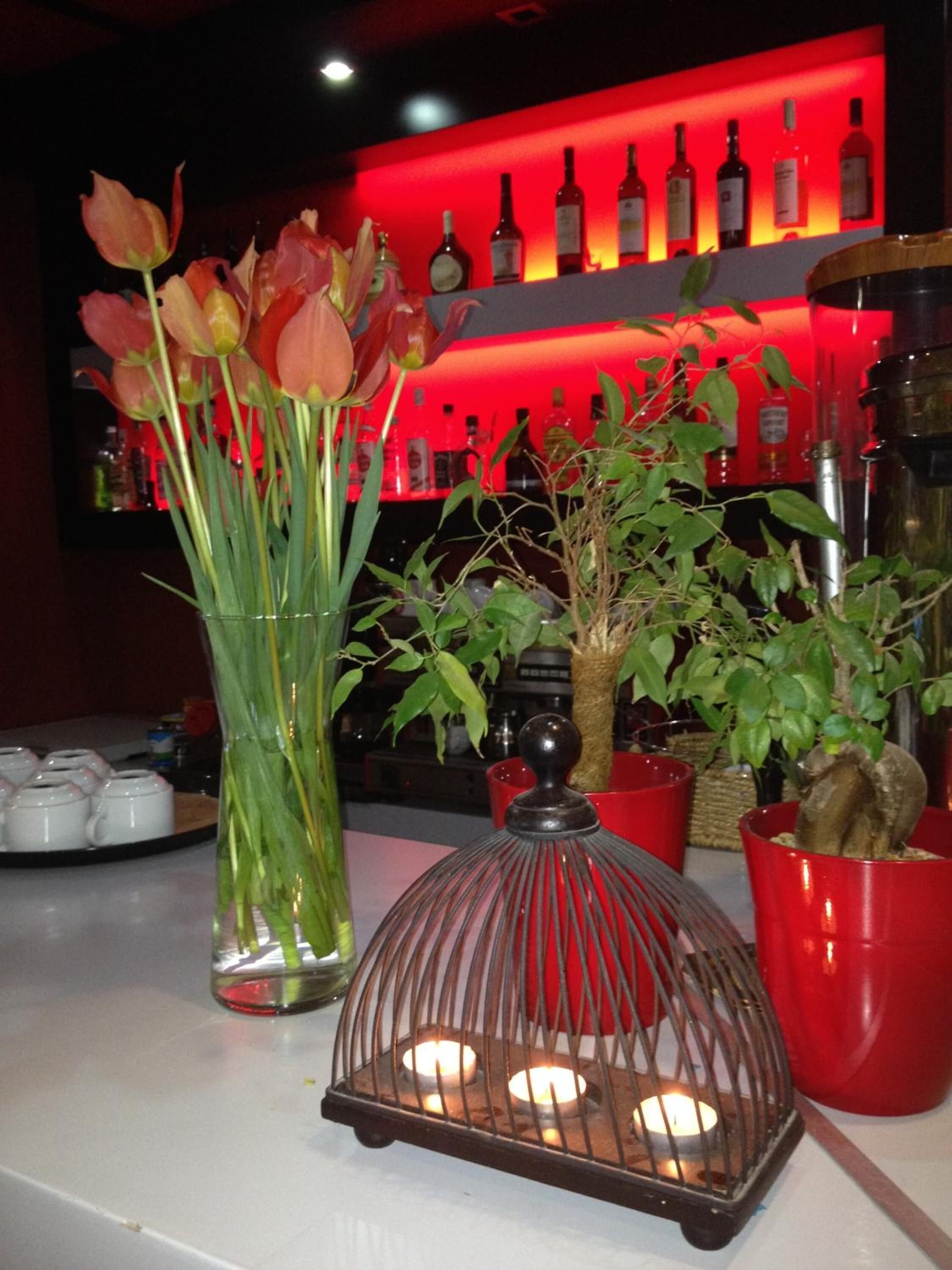 Zona de bar amb fons vermell, un vas amb tulipes i diferents ampolles a les prestatgeries.