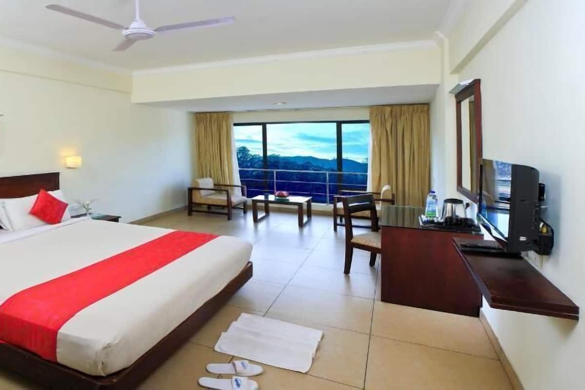 A hotel room with a large bed, a desk, a chair, a television, and a balcony with a view.
