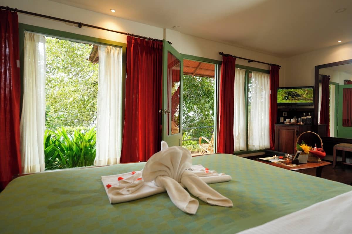 A hotel room with a bed, a television, and a view of greenery outside.