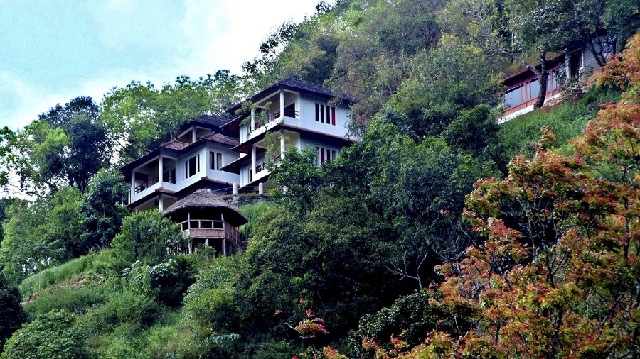 Blackberry Hills Munnar - Nature Resort & Spa