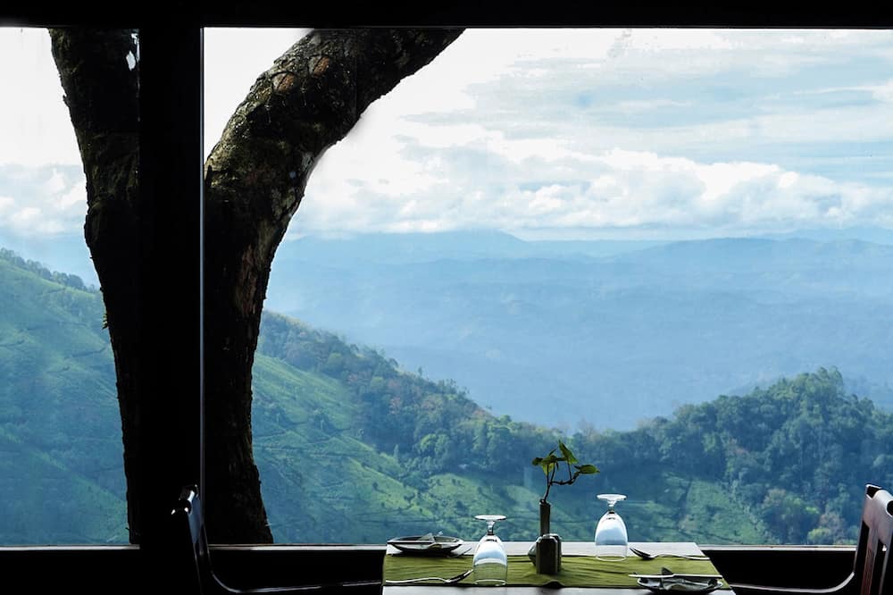 Blackberry Hills Munnar - Nature Resort & Spa