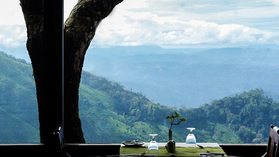 Blackberry Hills Munnar - Nature Resort & Spa