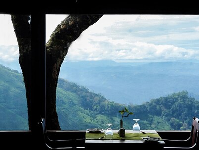 Blackberry Hills Munnar - Nature Resort & Spa