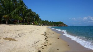 A sandy beach with palm trees and a clear blue sky. - Phalarn Inn Resort (Koh Samui)