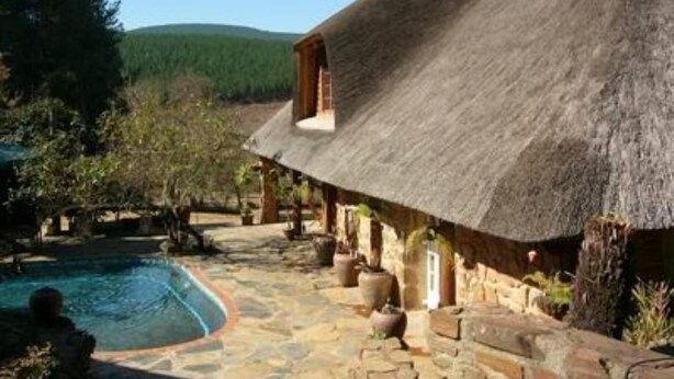 Un bâtiment rustique à toit de chaume, doté d’une piscine en pierre et agrémenté de plantes en pot.
