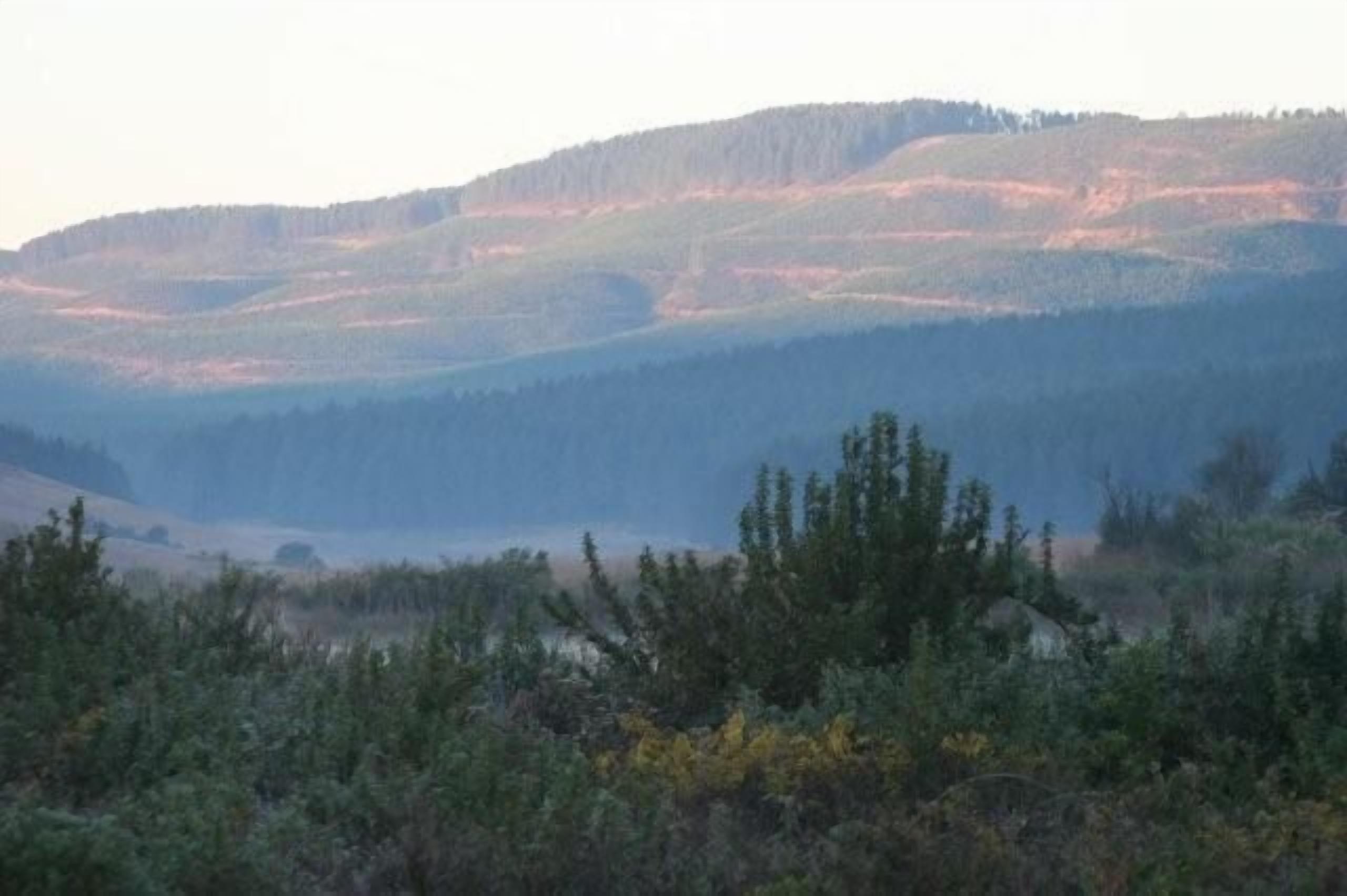 إطلالة على الجبل