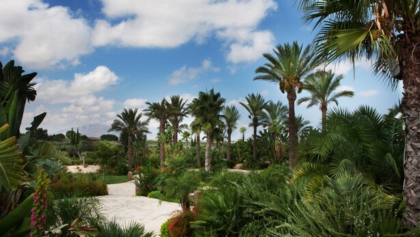Un jardin luxuriant, avec des palmiers et diverses plantes tropicales.