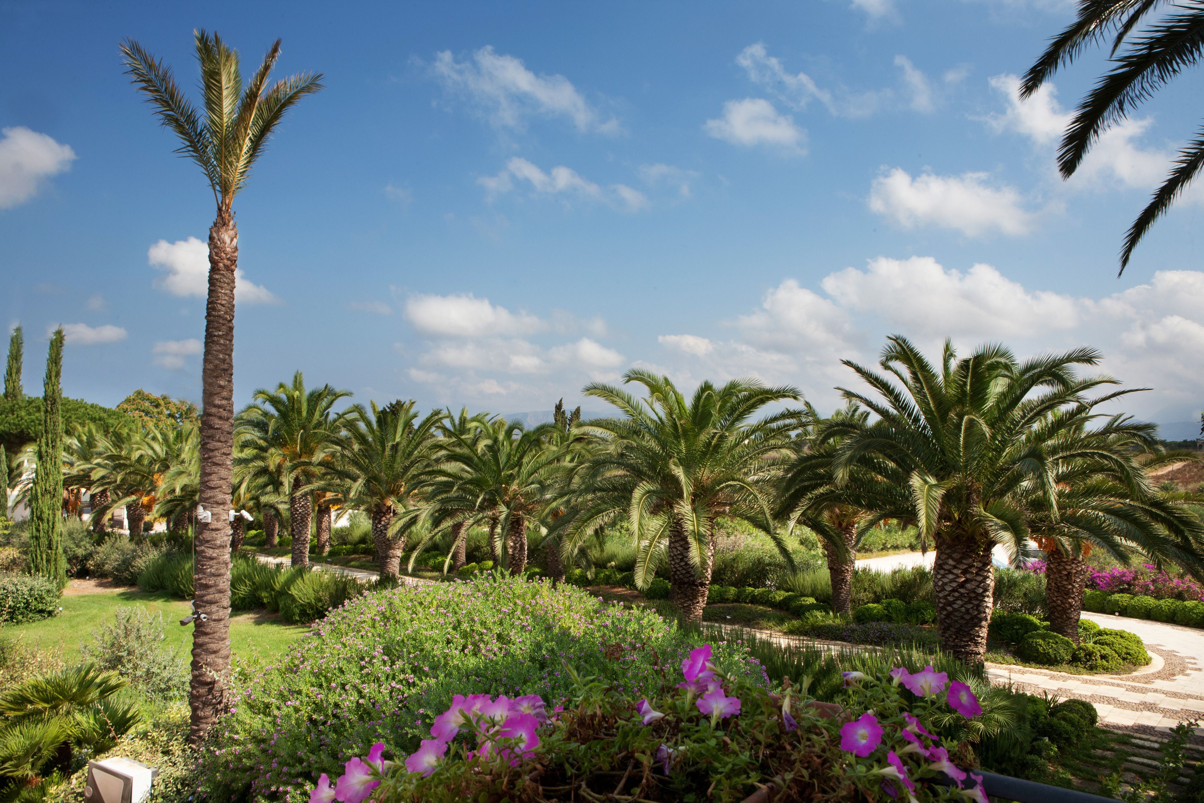 Standard Double Room Single Use, Private Bathroom | View from room