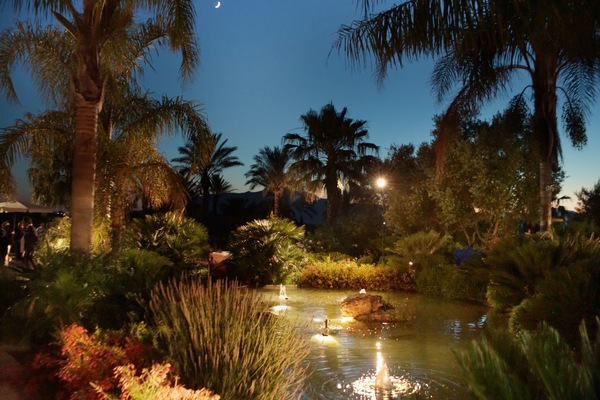 Jardín