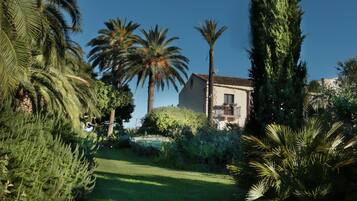 A well-maintained garden with palm trees and a tall coniferous tree, a building with a balcony, and a clear blue sky.