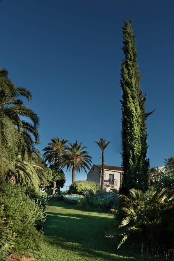 Un jardín bien cuidado con palmeras y un alto árbol de hoja perenne, un edificio con balcón, y un cielo azul despejado.