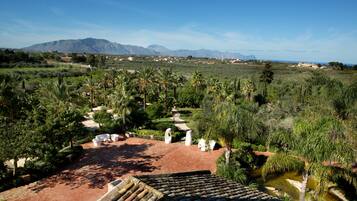 A terraced garden with palm trees, a brick pathway, and a view of distant mountains.