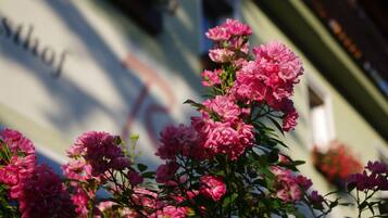 A building facade with a large window and pink flowers in the foreground.