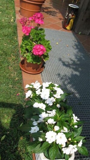 Exterior - B&B Villa Patrizia (Casnate Con Bernate)