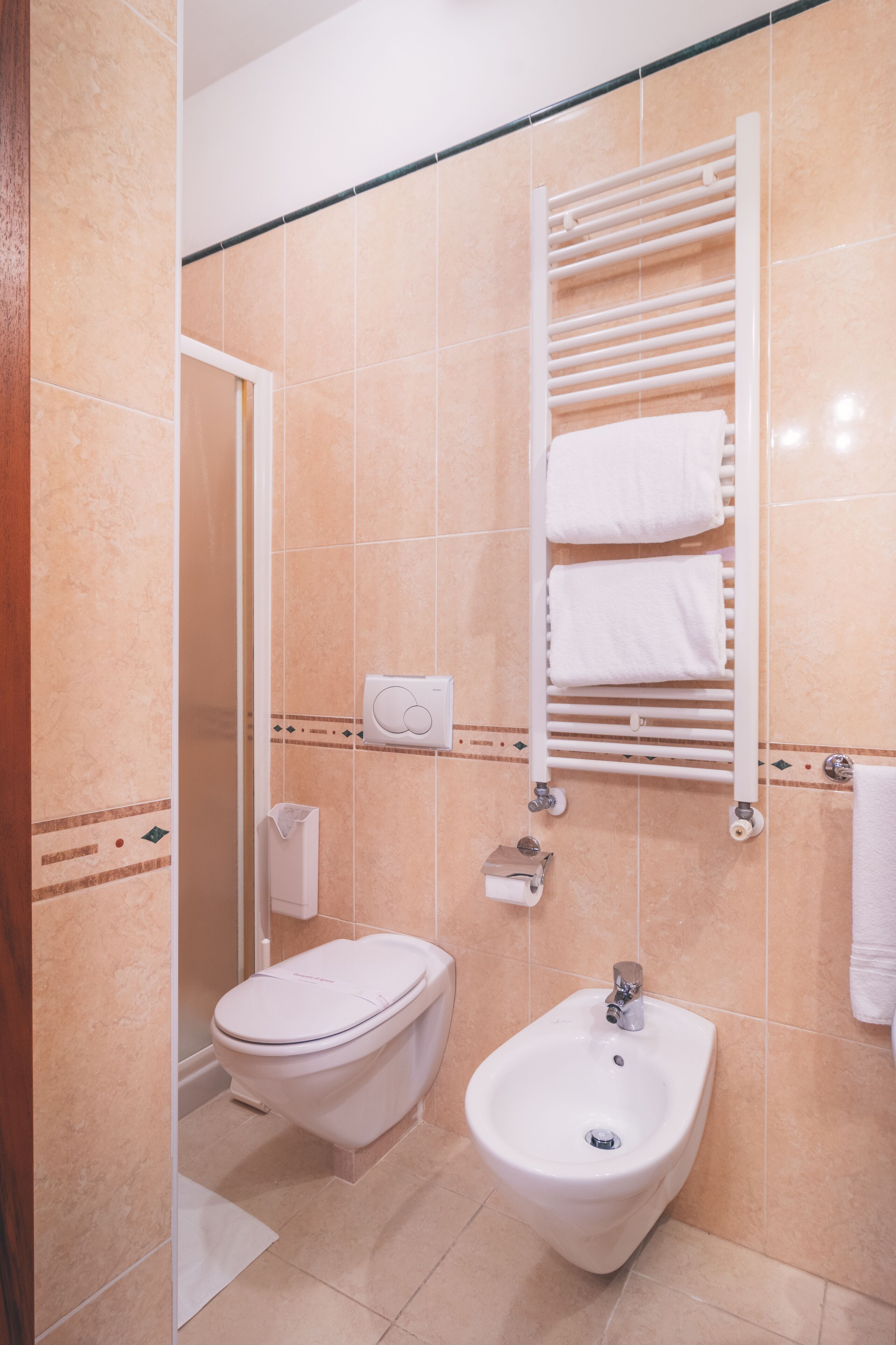 standard double room | bathroom | shower, hair dryer, bidet, towels