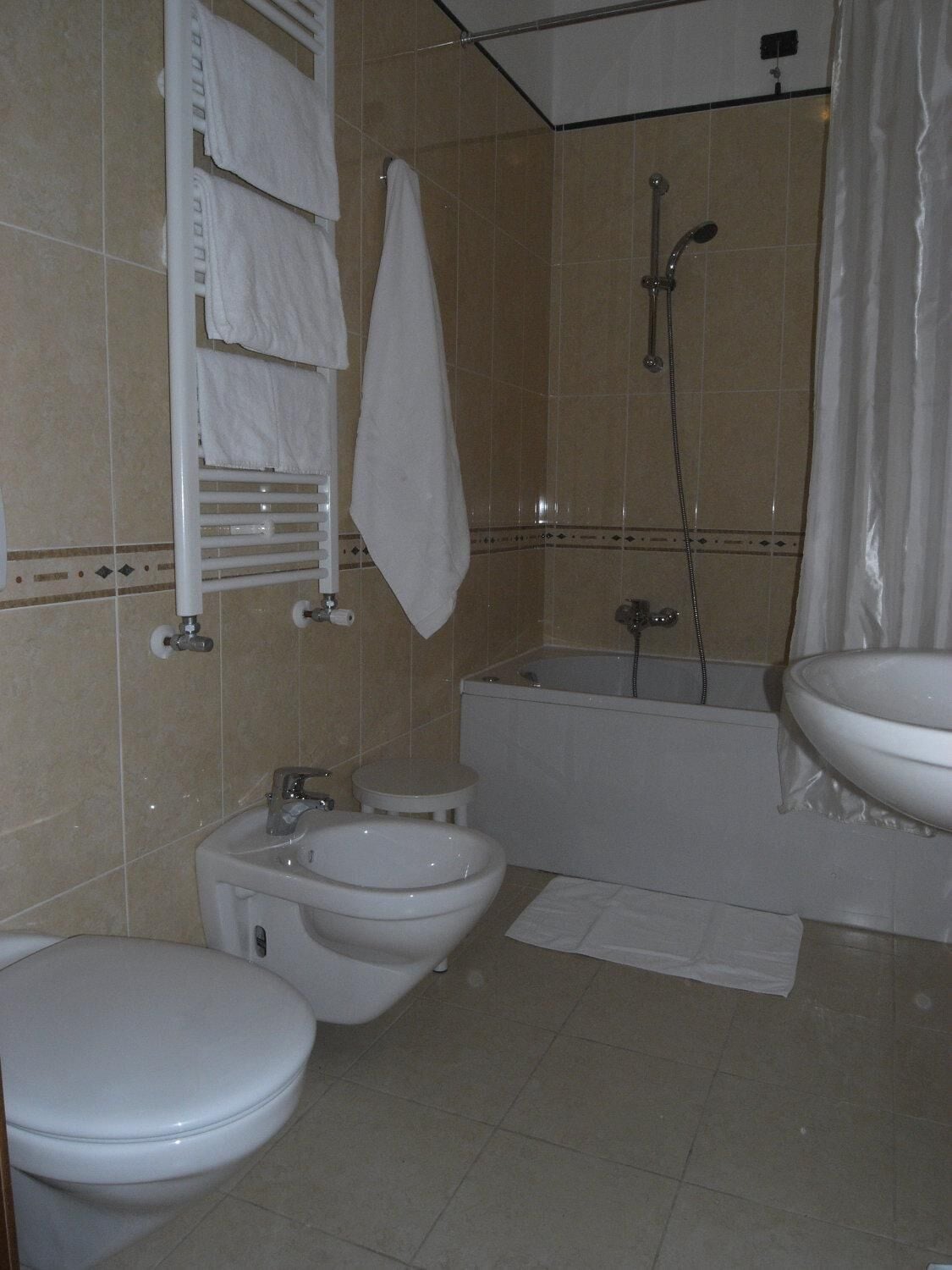 shower, hair dryer, bidet, towels