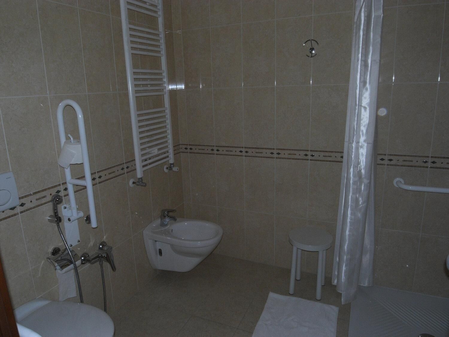 shower, hair dryer, bidet, towels