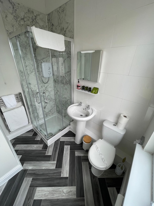 A modern bathroom with a glass shower enclosure, a white sink, a toilet, and a mirror above the sink.