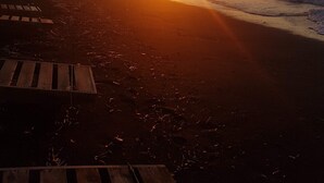 Una playa con atardecer, palmeras y sillones de madera.
