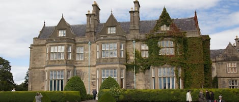 A historic building with multiple windows and a prominent ivy-covered section.