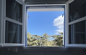 Una ventana con marcos blancos y vistas a árboles y un cielo despejado.