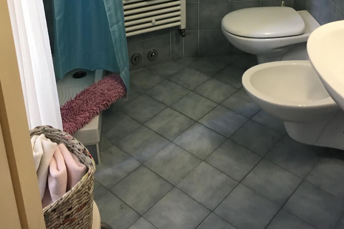 Tweepersoonskamer | Badkamer | Een douche, een haardroger, een bidet, handdoeken