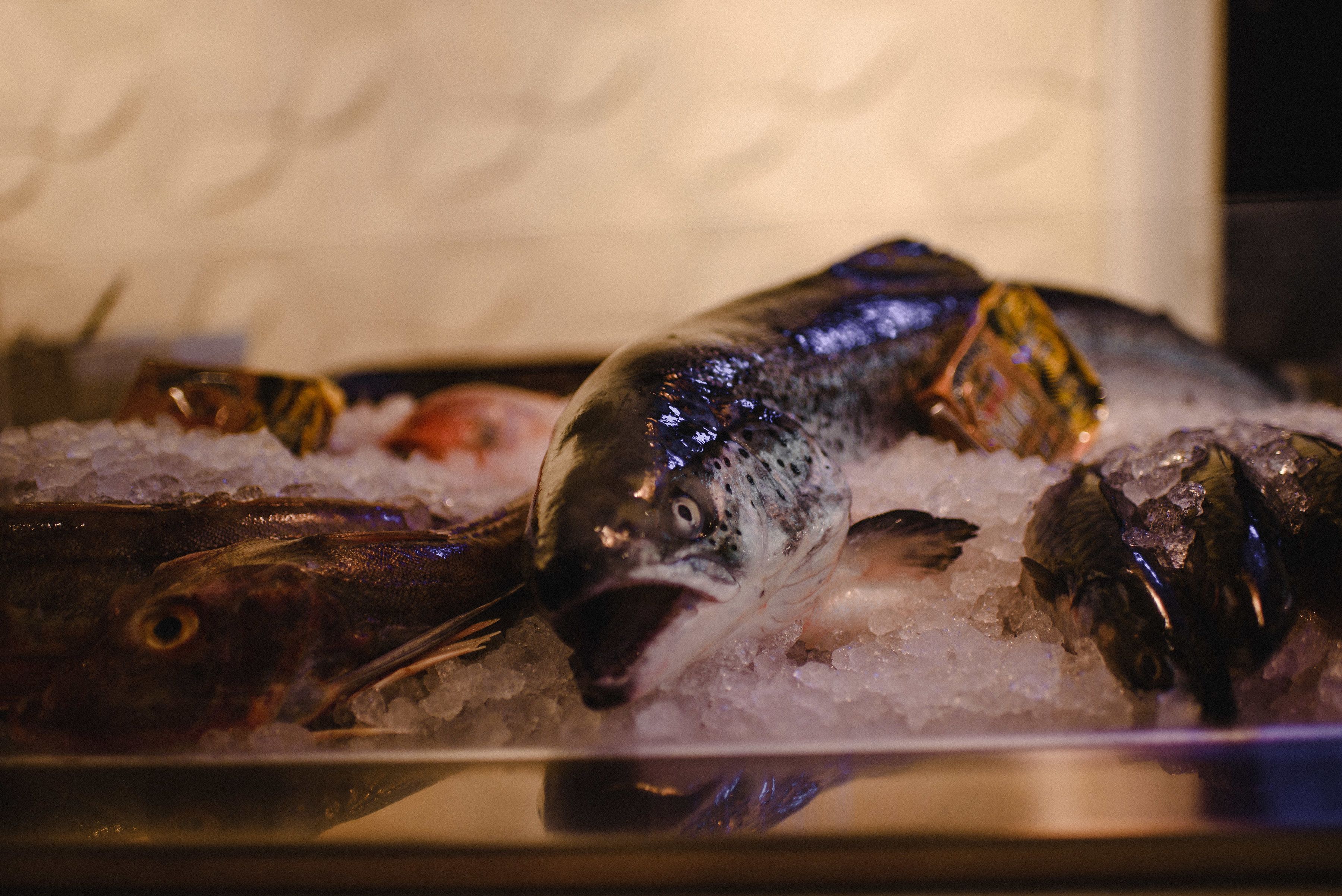 2 restaurants, breakfast, lunch, dinner served; international cuisine