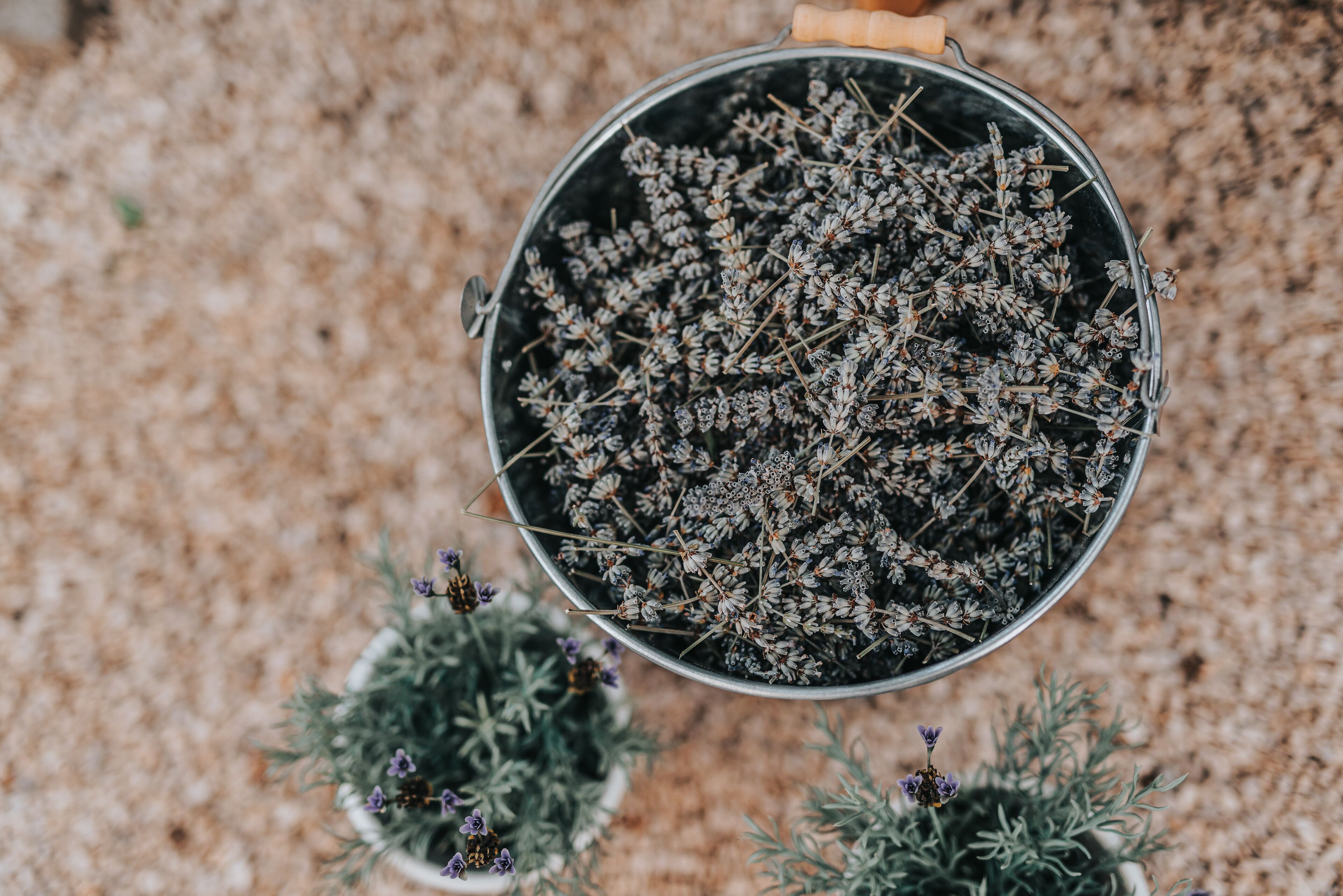 sauna, aromatherapy, swedish massages, sports massages, 1 treatment room