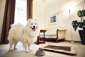 Pet-friendly