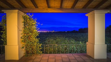 Vista al viñedo