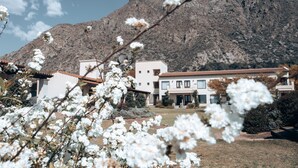 Unclassified image, 4 of 205, button - Viñas de Cafayate Wine Resort (Cafayate)