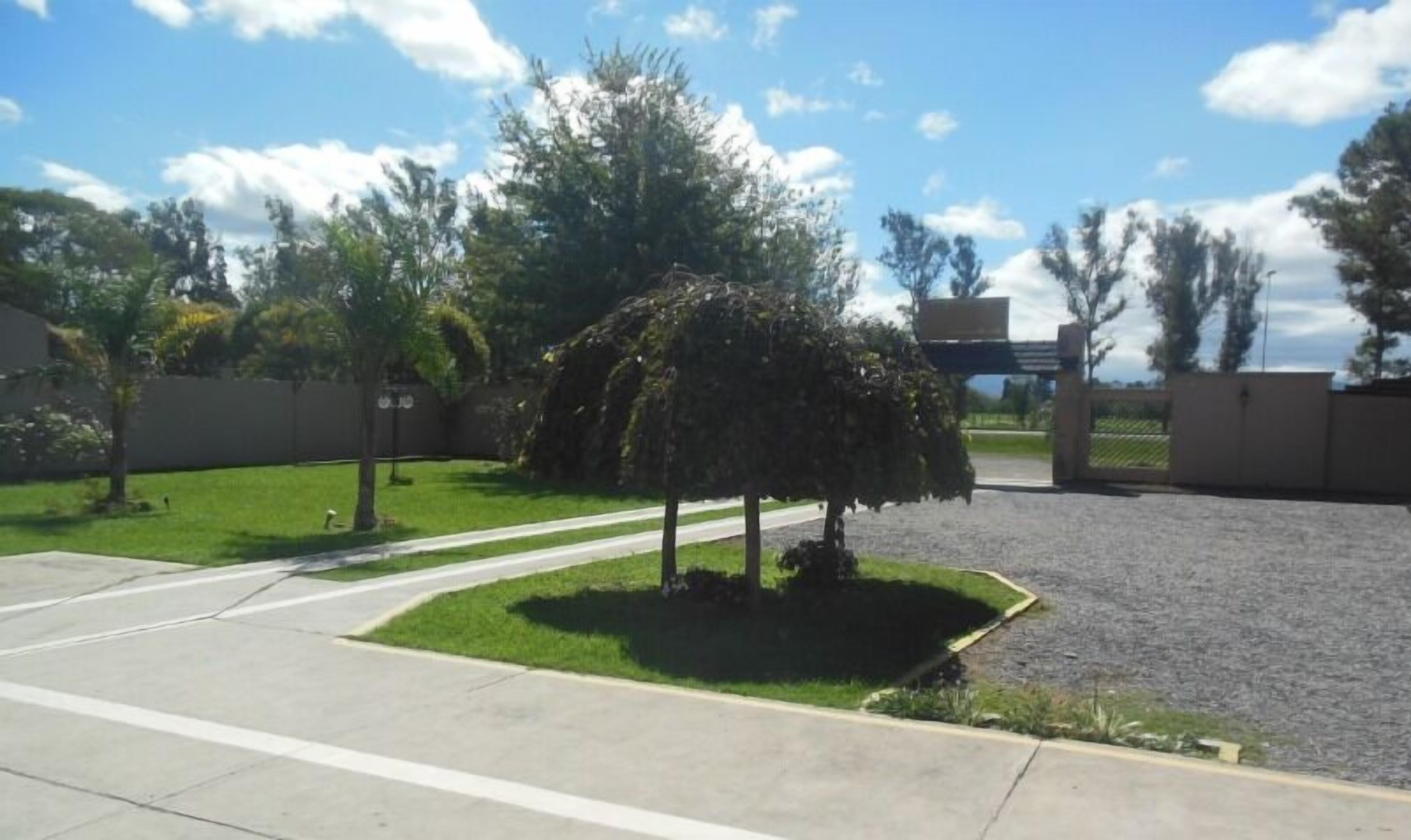 A parking lot with a paved road, a grassy area, and a tree.