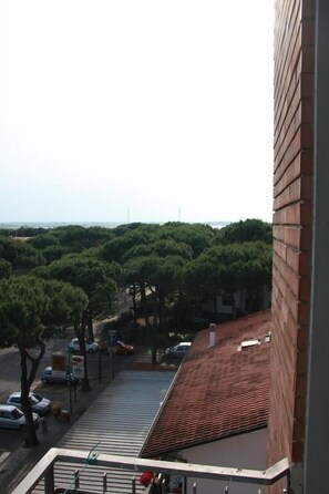 Vista desde la habitación